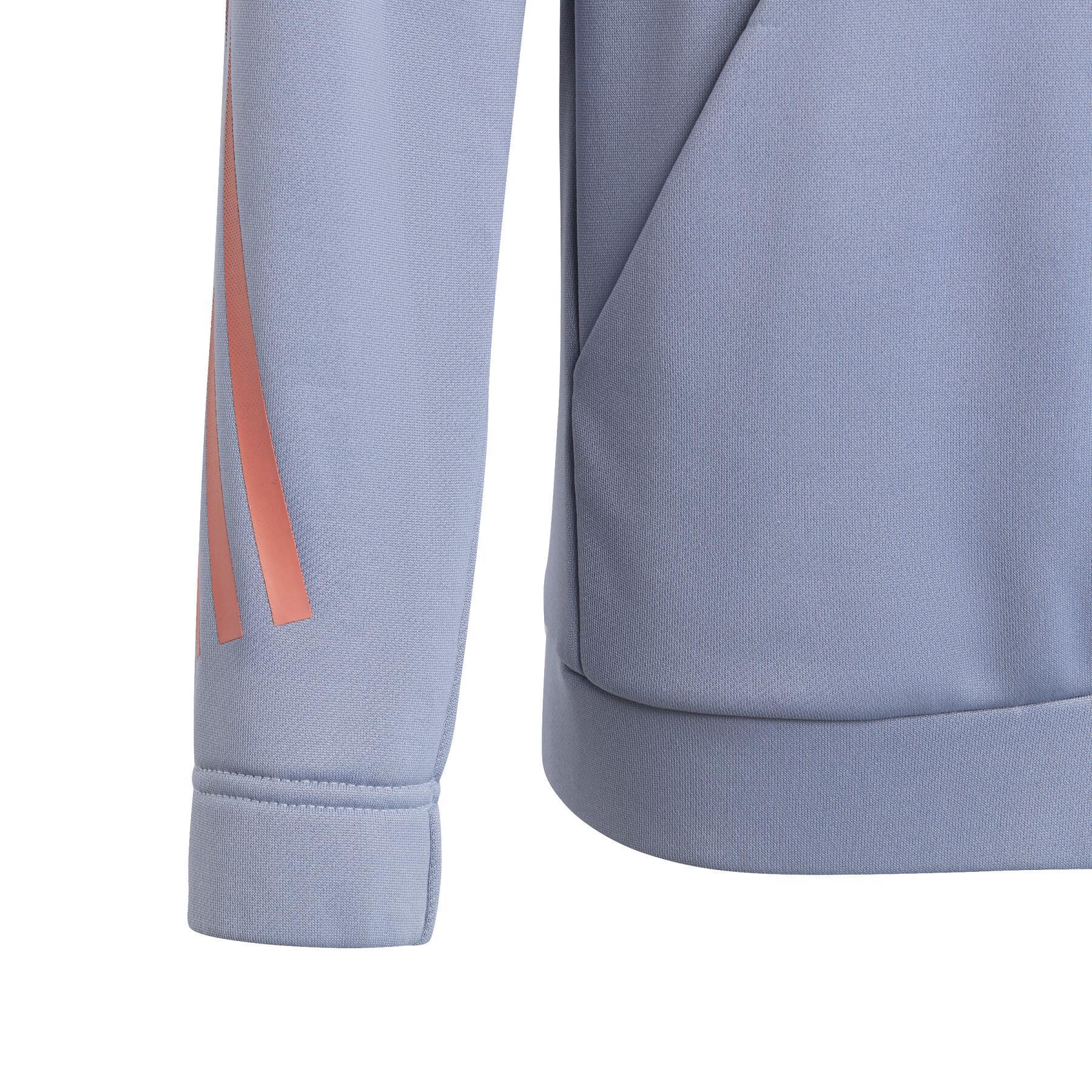 Kinder sweatshirt met capuchon adidas 3-Stripes Icons Aeroready