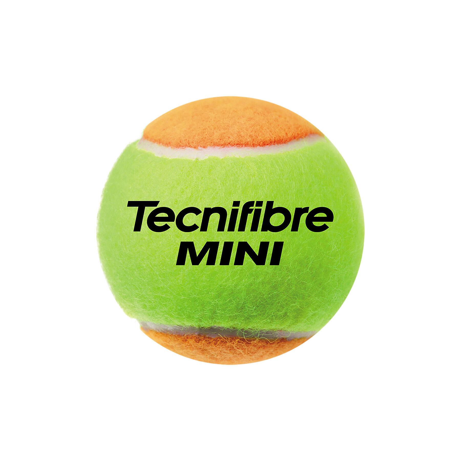 Set van 3 tennisballen voor kinderen Tecnifibre Mini