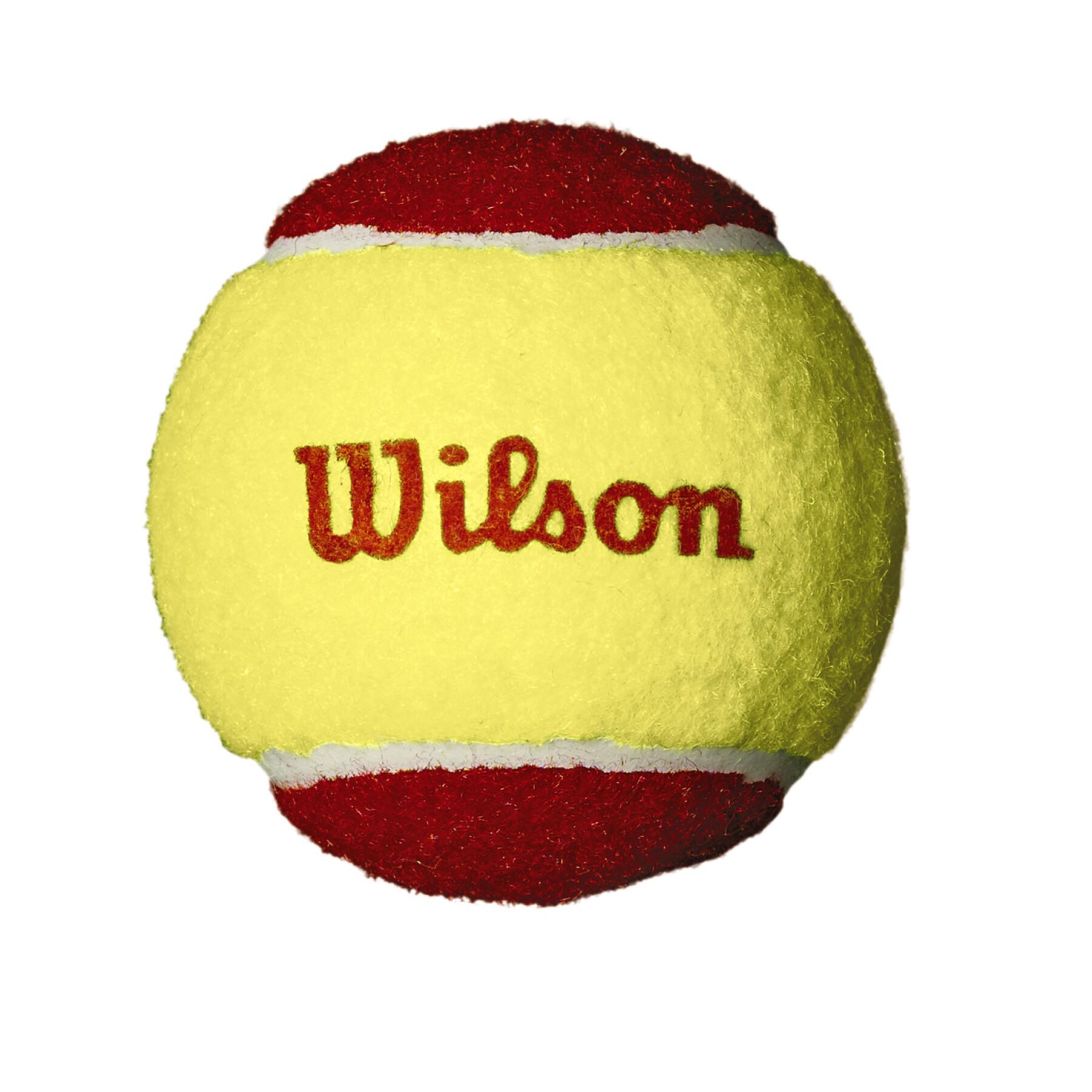 Set van 3 tennisballen Wilson Starter