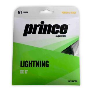 Pompoensnoeren Prince Lightning XX