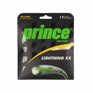 Pompoensnoeren Prince Lightning XX