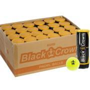 Doos met 24 tubes van 3 ballen Black Crown
