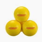 Set van 12 tennisballen Dunlop Shortex
