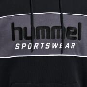 Hooded sweatshirt Hummel Legacy Julian