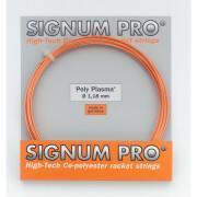 Tennissnaren Signum Pro Poly Plasma 12 m