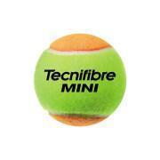 Set van 3 tennisballen voor kinderen Tecnifibre Mini