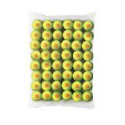 Set van 48 tennisballen Wilson Starter Orange