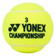 Set van 4 tennisballen Yonex Championship
